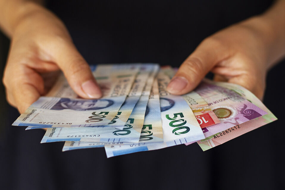 Mexican Currency